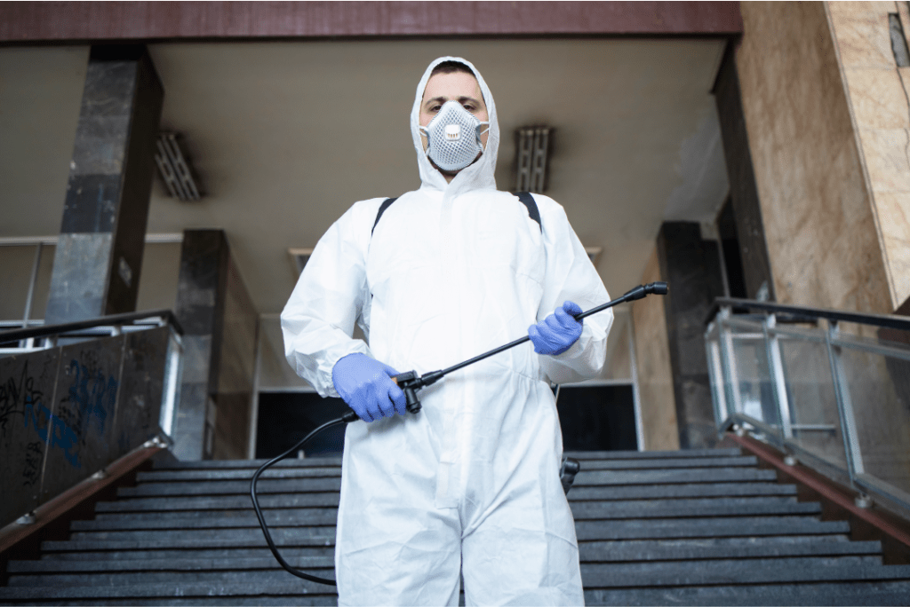 Servicio de Fumigación de Casas en Lima
