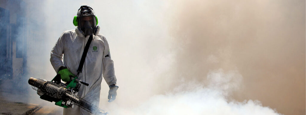 descubre cuánto Cuesta Fumigar una Casa en Perú