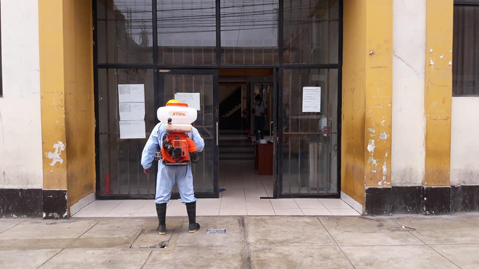 fumigación de cucarachas
