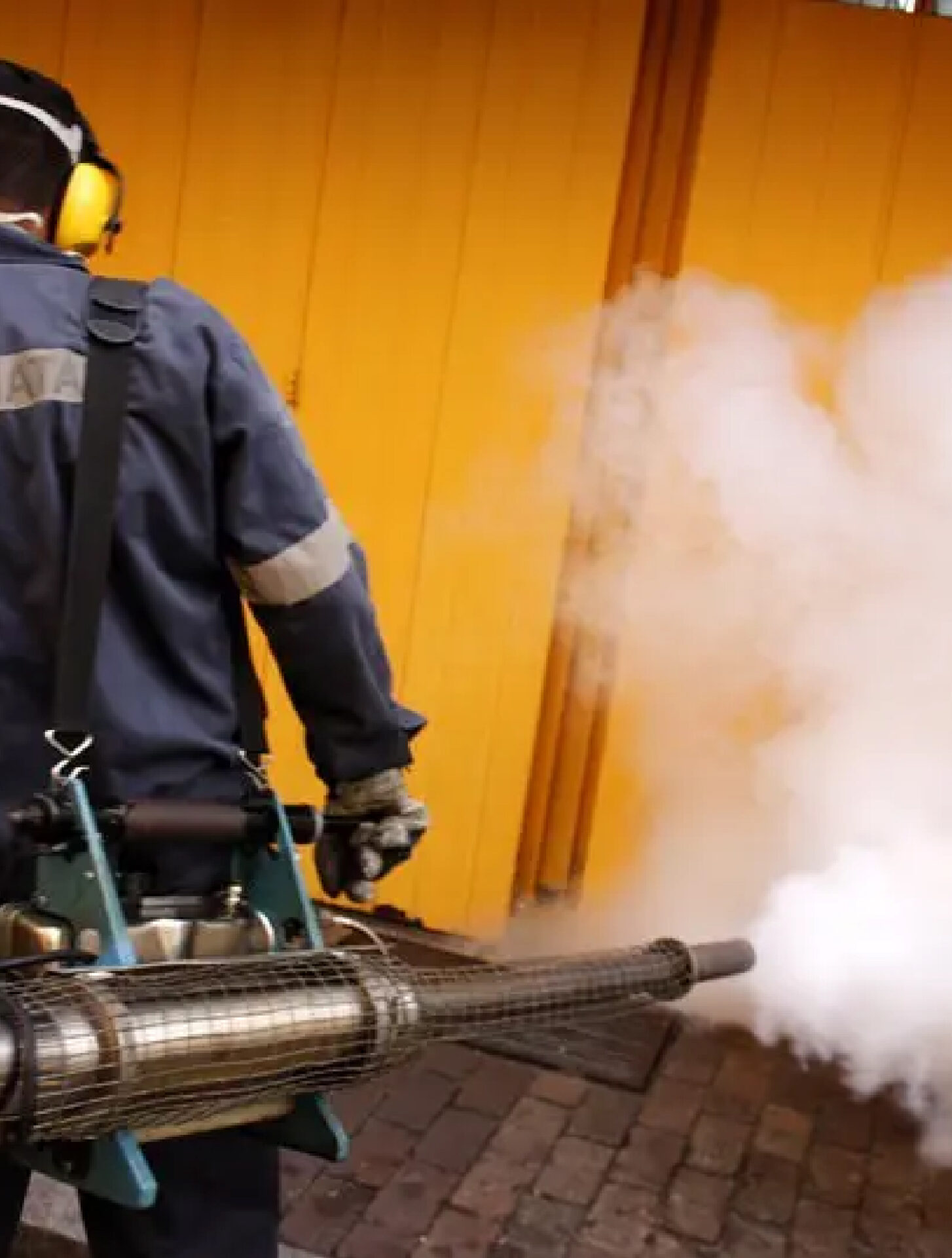 servicio de fumigación en lima